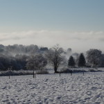 Ardennen in de winter