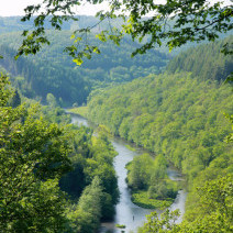 Ontdek de natuur Ardennen